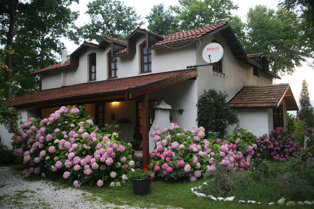 Beta Home Sapanca Rum bild