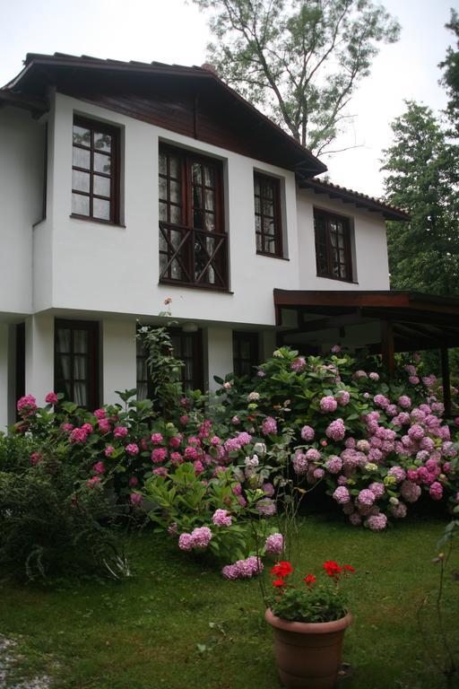 Beta Home Sapanca Rum bild